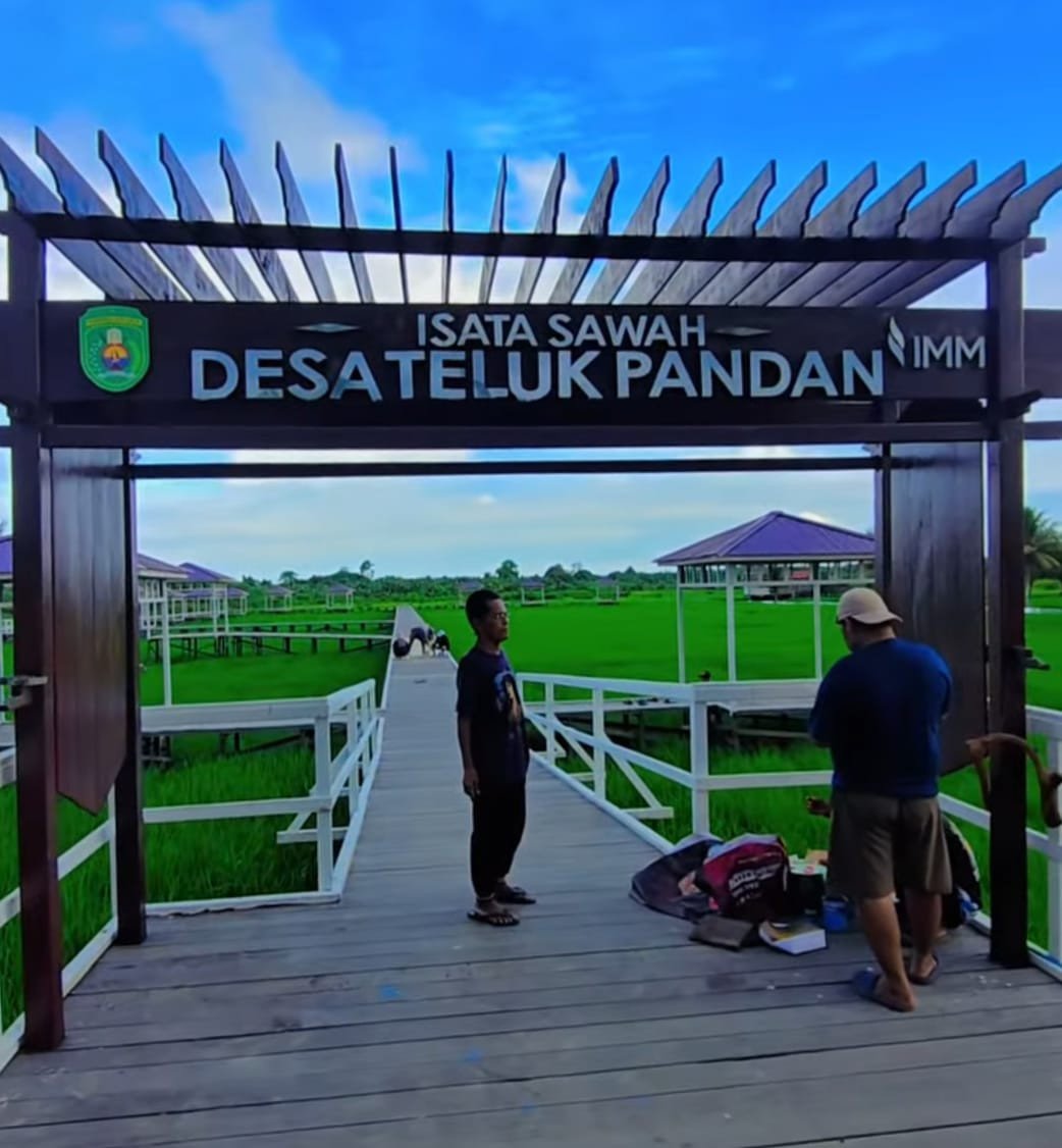 wisata-swafoto-tumbuh-liar-di-sawah-jelang-panen-pemdes-teluk-pandan-buru-buru-tata-infrastruktur-ekonomi-warga