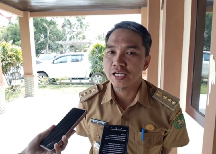 komoditas-lada-batu-ampar-mati-suri-petani-tinggalkan-primadona-kecamatan-batu-ampar-sandarkan-ekonomi-pada-nanas